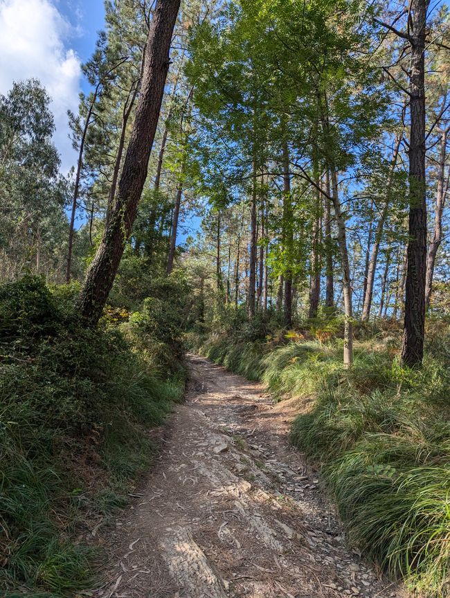 The Way to Gernika (Camino del Norte 5)