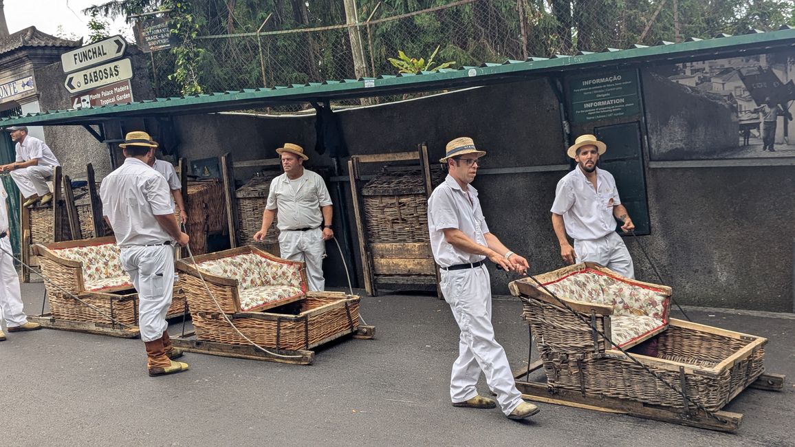 Tag 9: Funchal - mit einer rasanten Schlittenfahrt