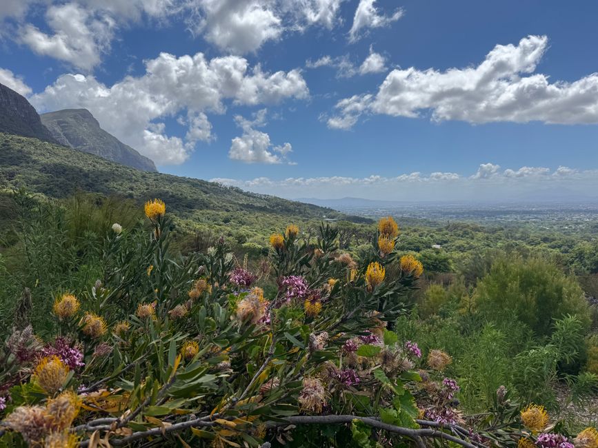 Jahreswechsel in Capetown