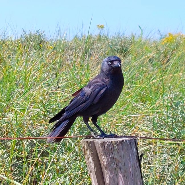 Katwijk aan Zee