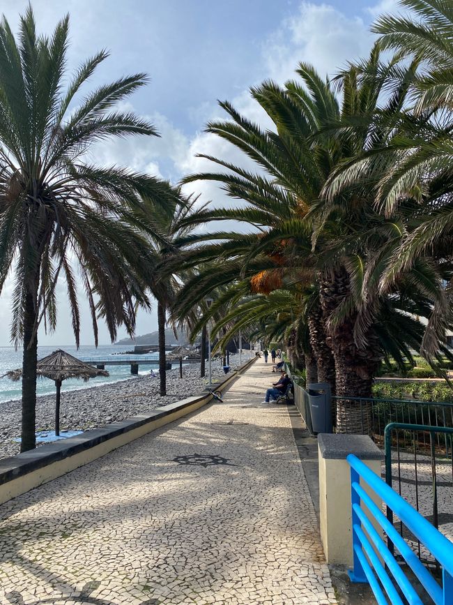 Strandpromenade von Santa Cruz