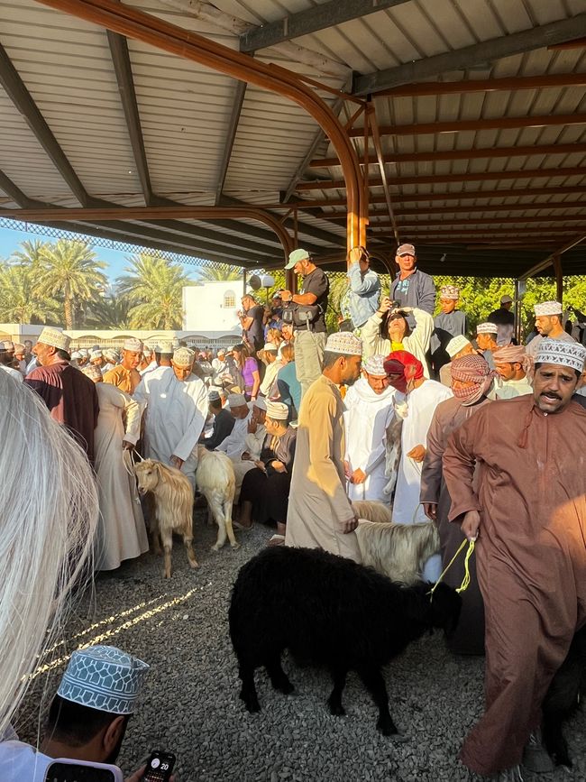 Nizwa