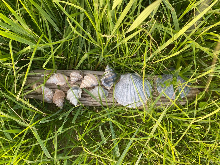 About the KariKari beach to Whangarei