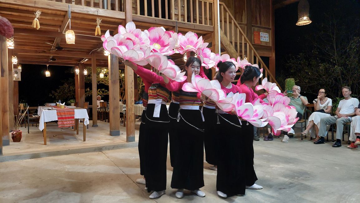 Tanzperfomance