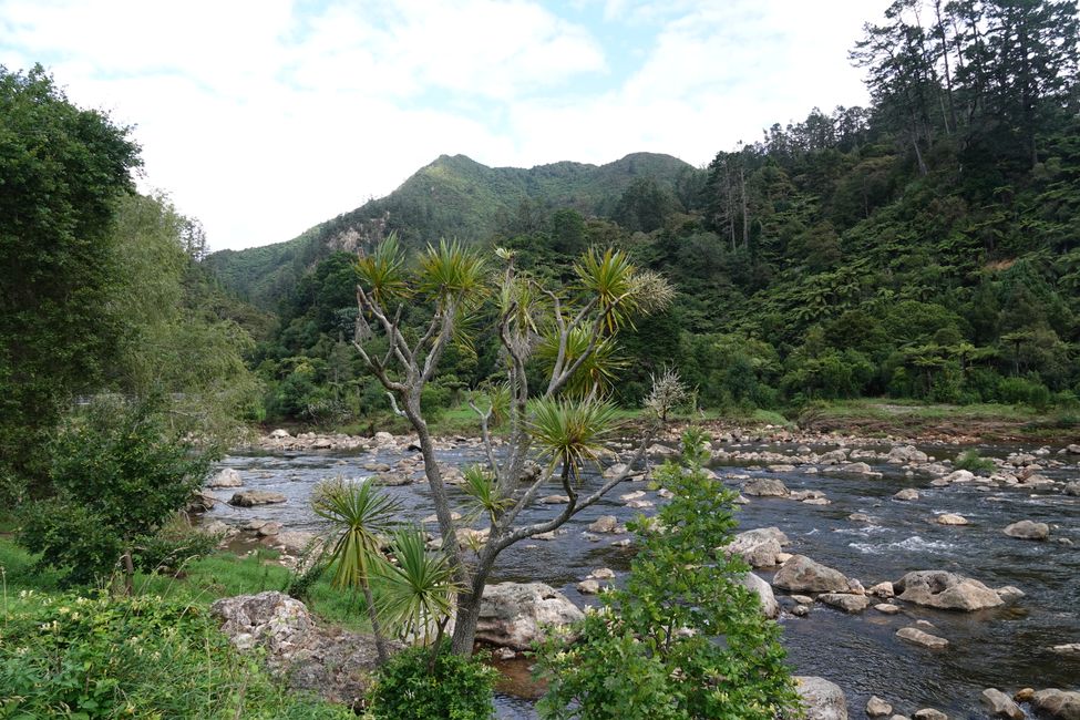 Papeete - Auckland - Coromandel