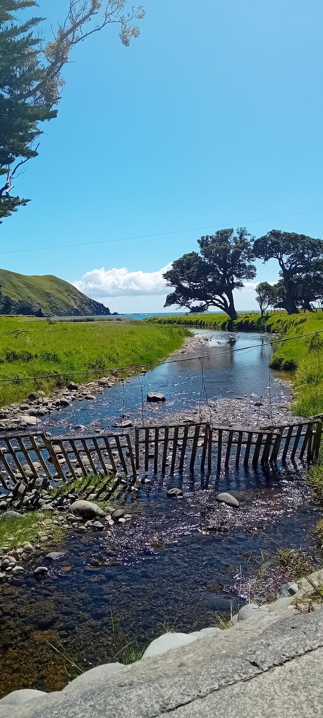 Coromandel Norte