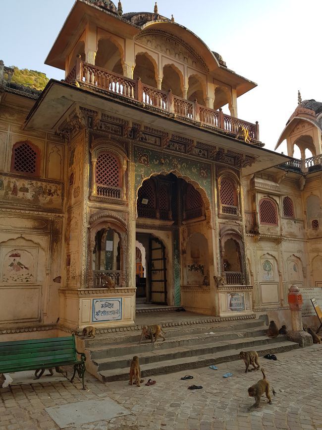 Hindu Ceremony and Monkey Temple