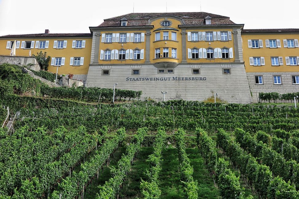 Wein-und Apfelregion