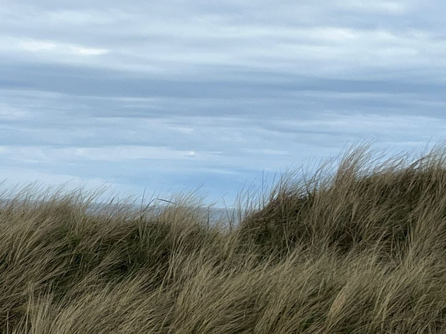 Dänemark Nordjütland Jammerbucht Svinklov
