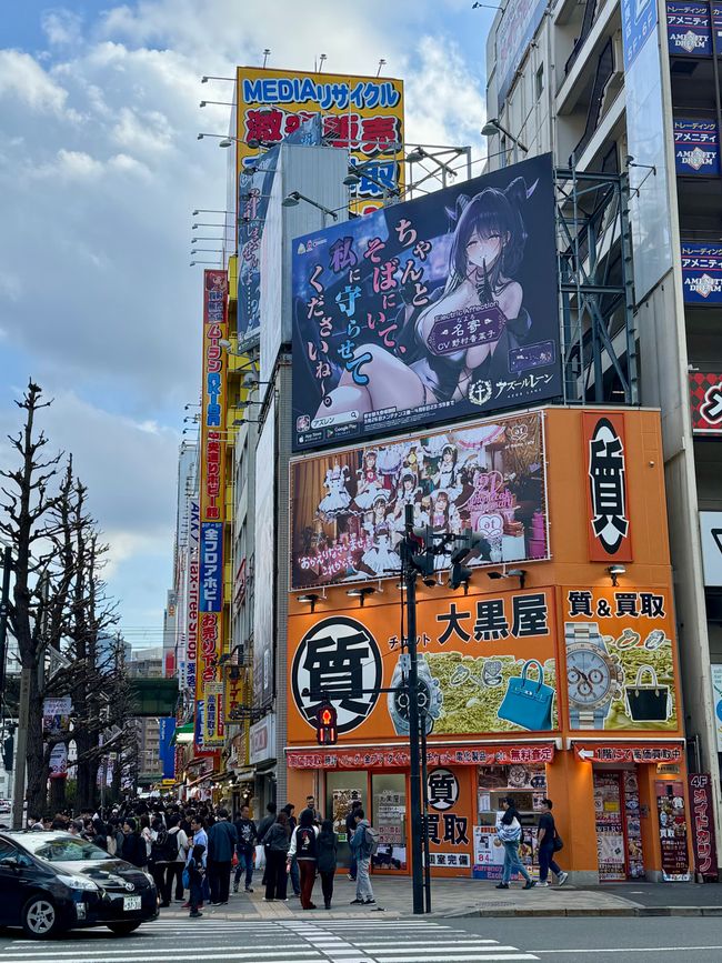 Parte 7
BENVENUTO IN GIAPPONE 🇯🇵
TOKYO