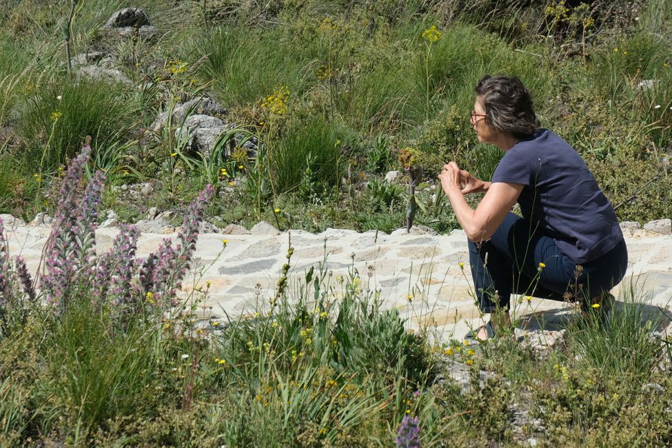  Naturpark Sierra de las Nieves