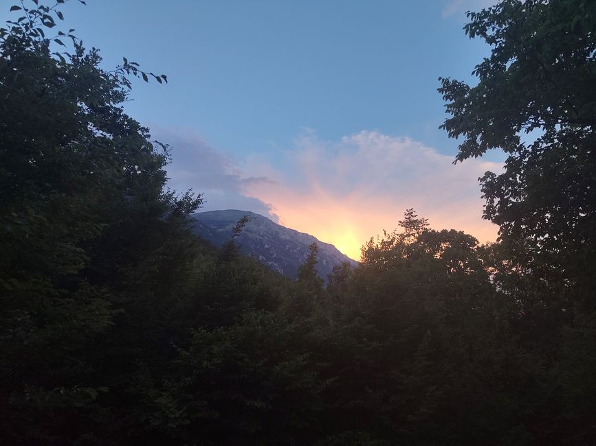 Buonanotte
