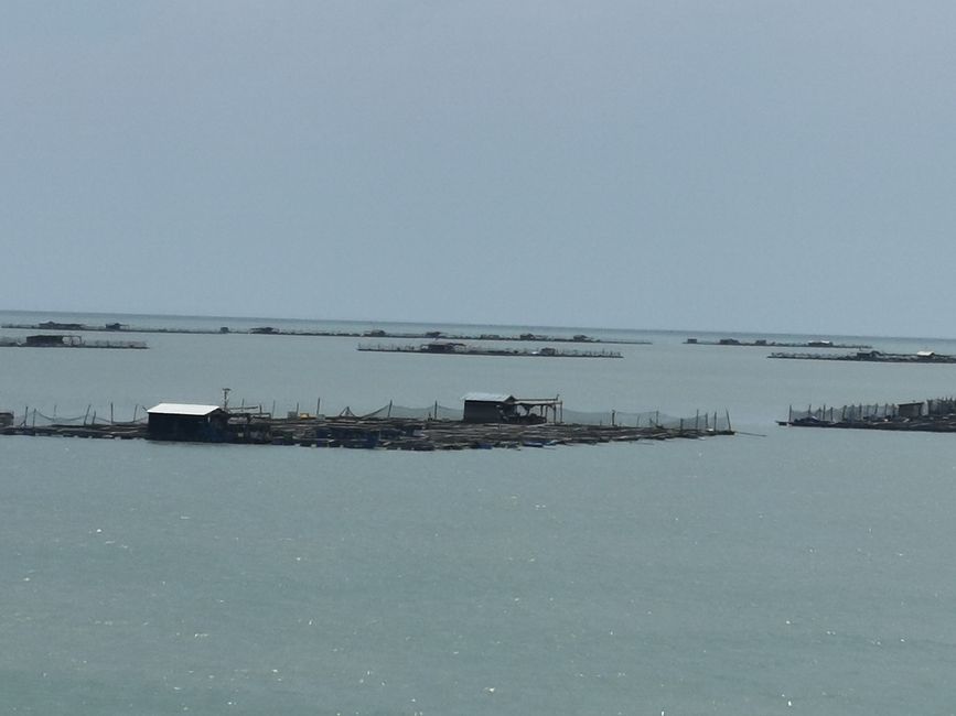 ... i precursori dell'isola di Penang...