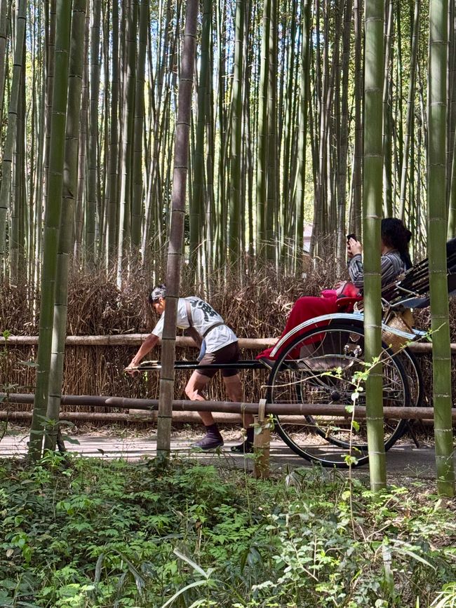Part 8 Japan 🇯🇵 Kanazawa