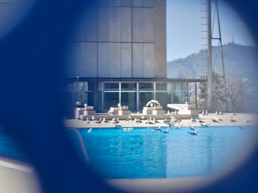 Piscina Municipal de Montjuïc