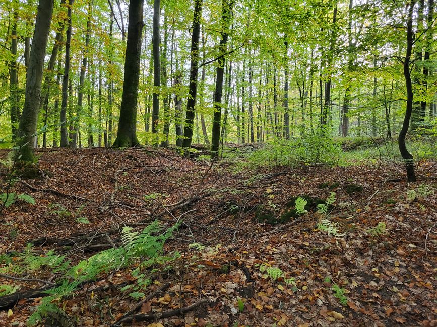 Área natural de Hüttener Klosterteiche