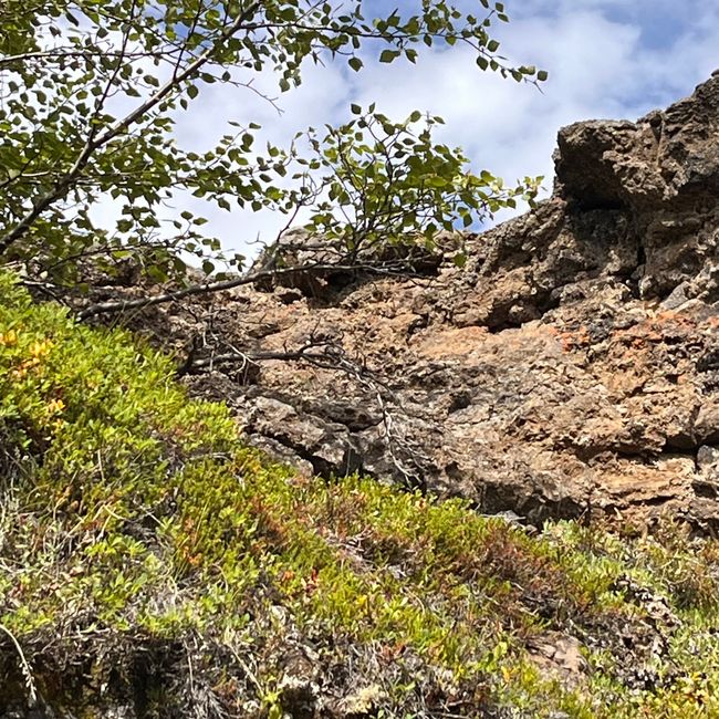 Autour du Myvatn
