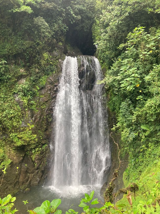 Monteverde