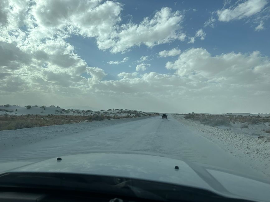 Arizona/ New Mexico/ Petrified Forest/ White Sands