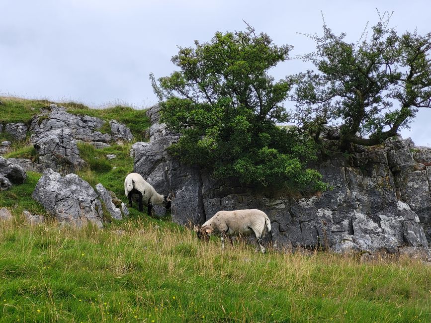 Senda de las Cascadas de Ingleton