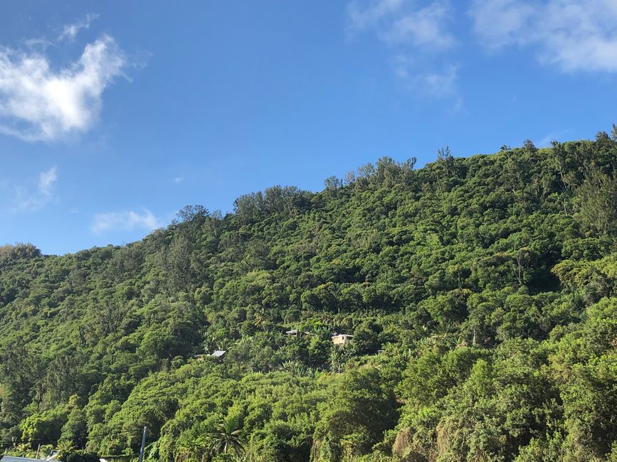 À travers des régions tropicales ...