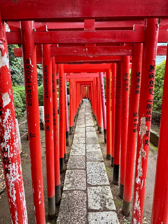 Parte 7
BENVENUTO IN GIAPPONE 🇯🇵
TOKYO