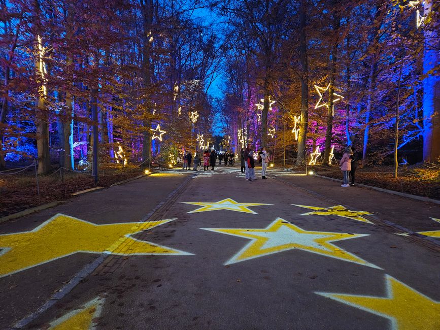 Christmas Garden