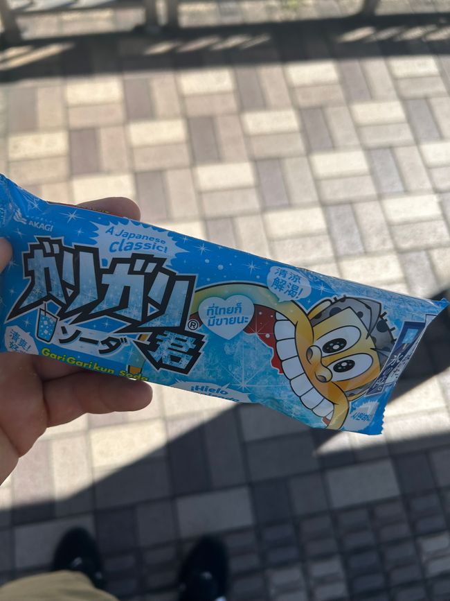 Our first day in Tokyo