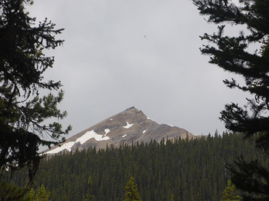 2025-06-30 Bow Parkway verso Banff