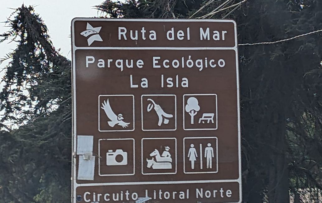 Strandtag in Renaca