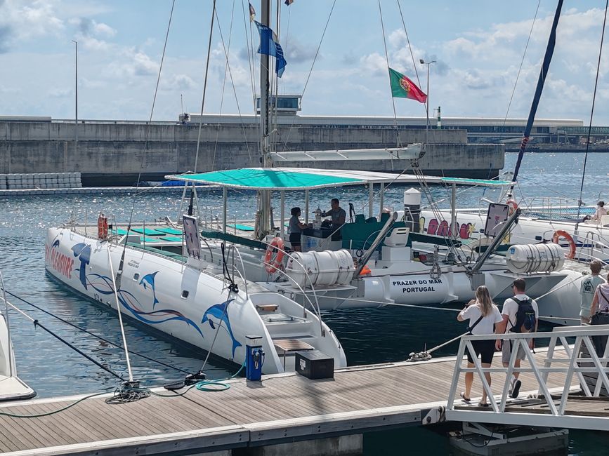 Hoy en catamarán por el Océano Atlántico