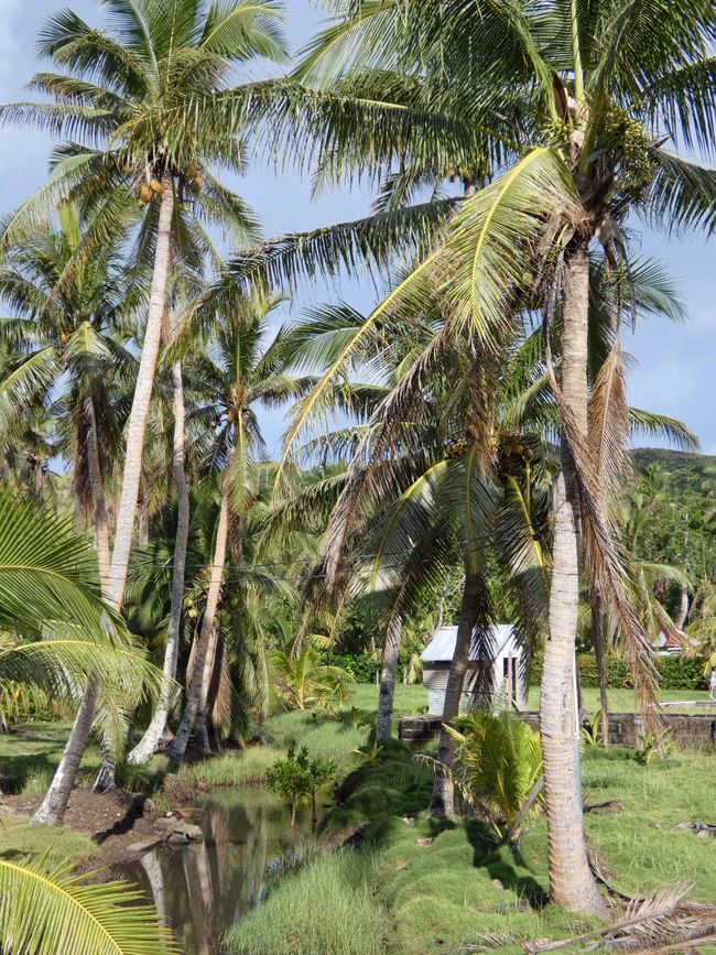 Lomaloma, Insel Vanua Balavu, Fidschi