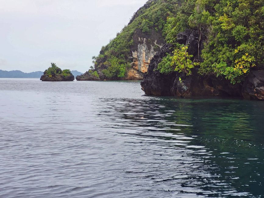 Misool, Nuova Guinea occidentale, Indonesia, escursione in Zodiac
