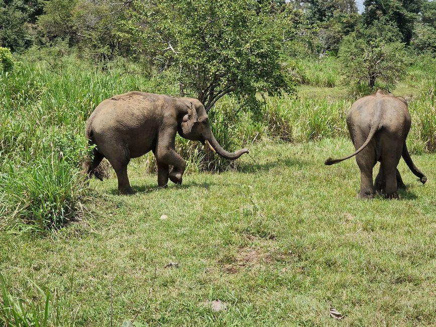 Hurulu Eco Park