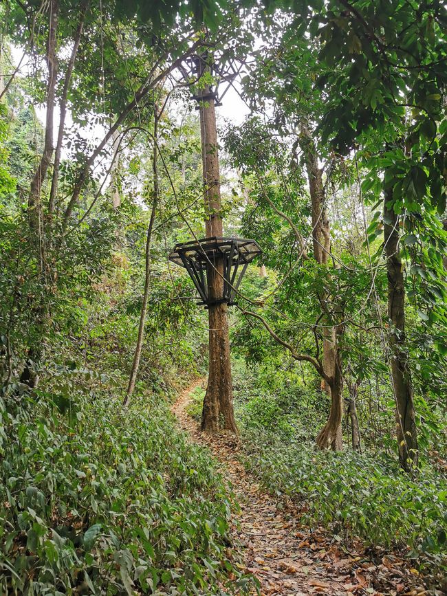 Randonnée autour des chutes d'eau Kuang Si