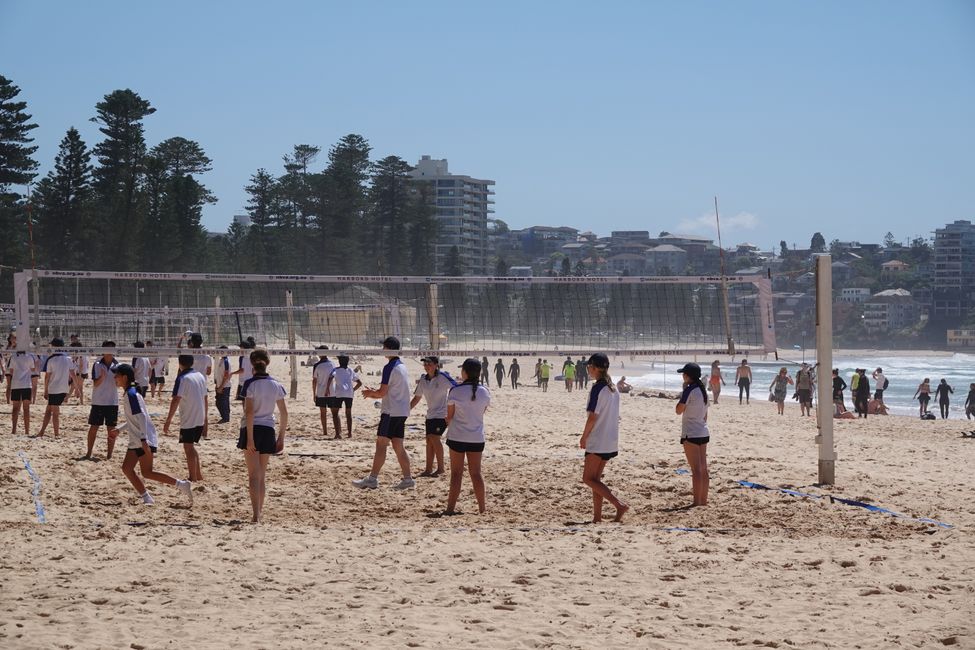 Sulle spiagge di Manly ....