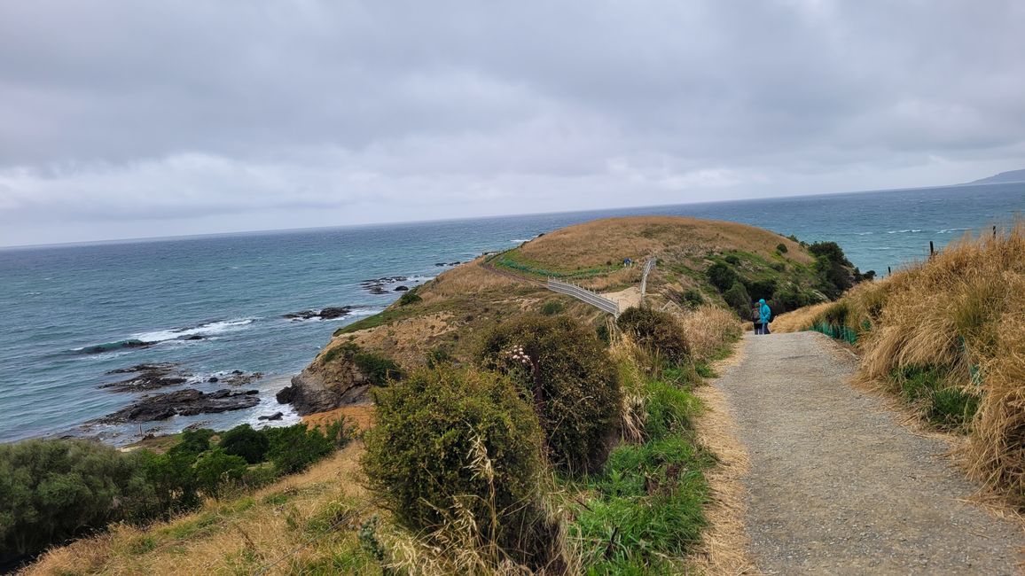 29.Januar-27.Februar 2025 Neuseeland
6.Februar
