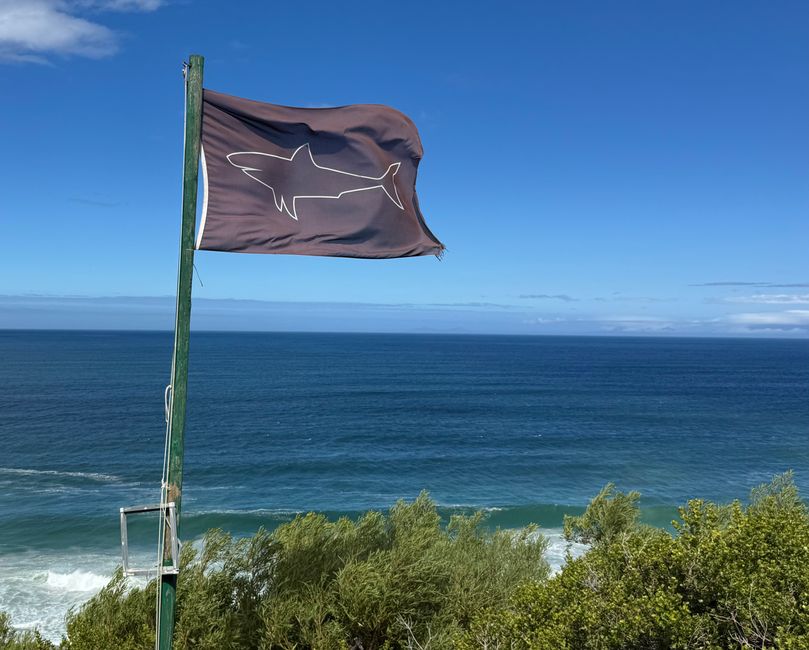 South Africa🇿🇦Week 6