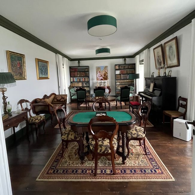 Albero dietro l'hotel 
