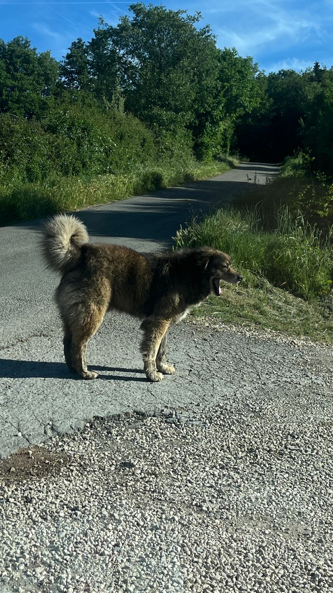 ToskanaMaremmaElba 5. Tag