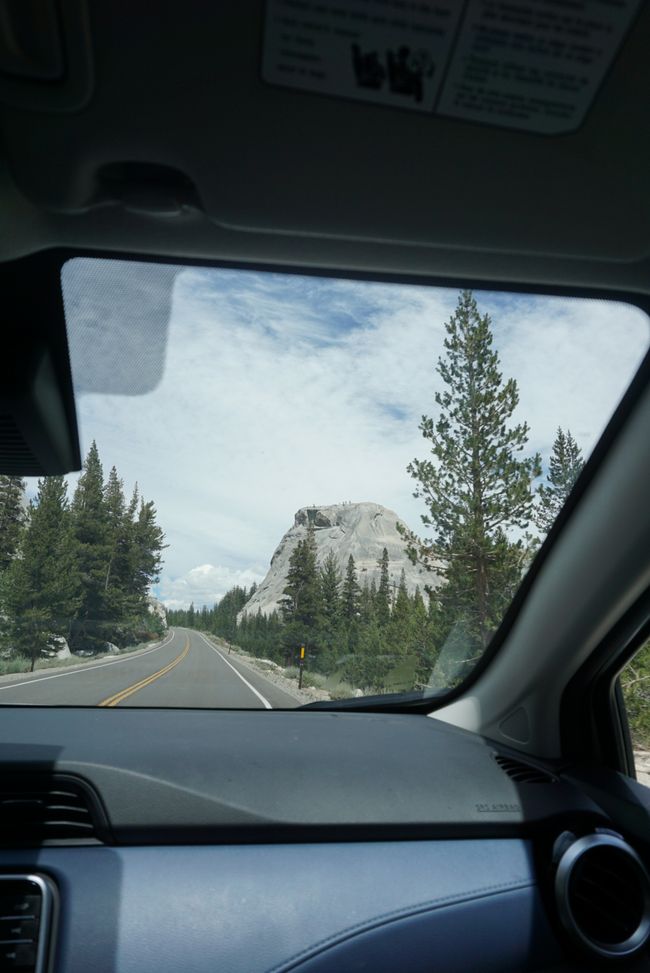 Tag 7 - Erster Tag im Yosemite Nationalpark 🥾🌲