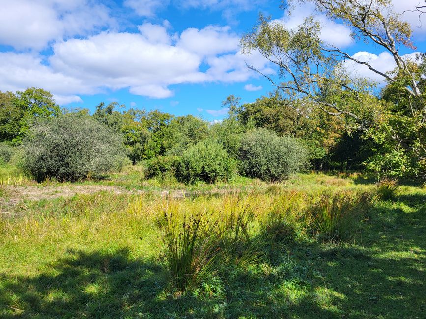 Vogelschutzgebiet Ottenby