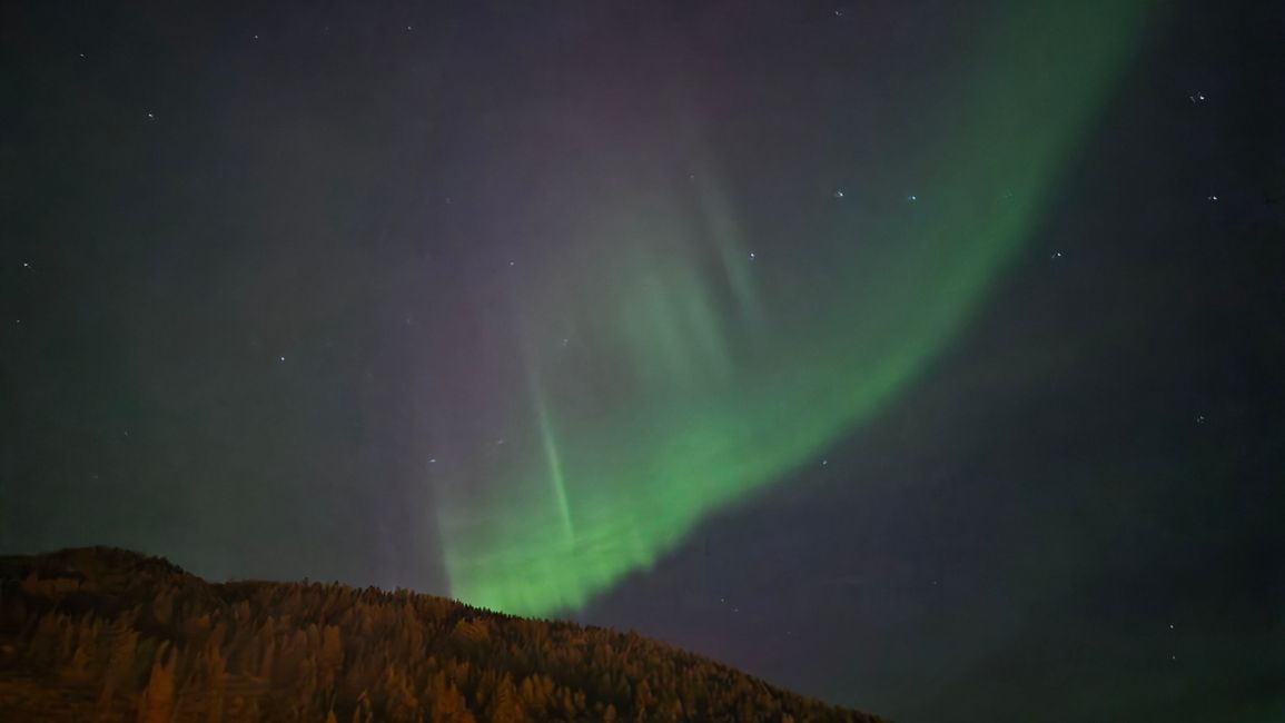 Trondheim 23-30.Oktober 2025/29.Oktober