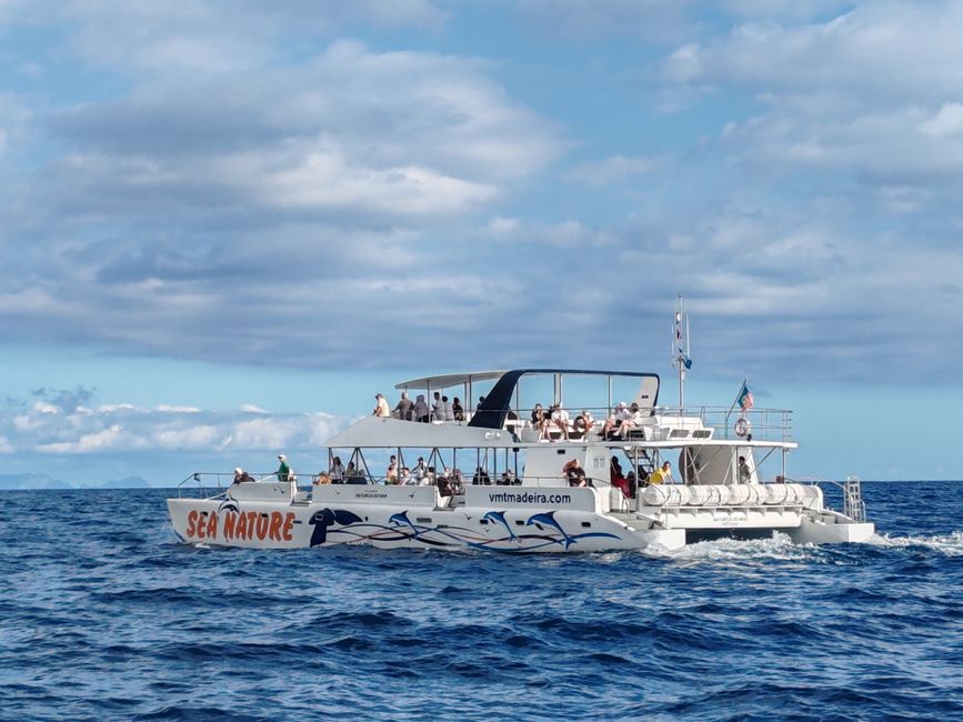 Hoy en catamarán por el Océano Atlántico
