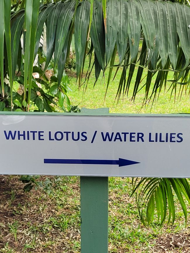 Tag 132 und 133 von 175: Kreuzfahrt rund um die Welt - Port Louis/Mauritius - geänderte Route - weiträumige Umfahrung der Krisengebiete