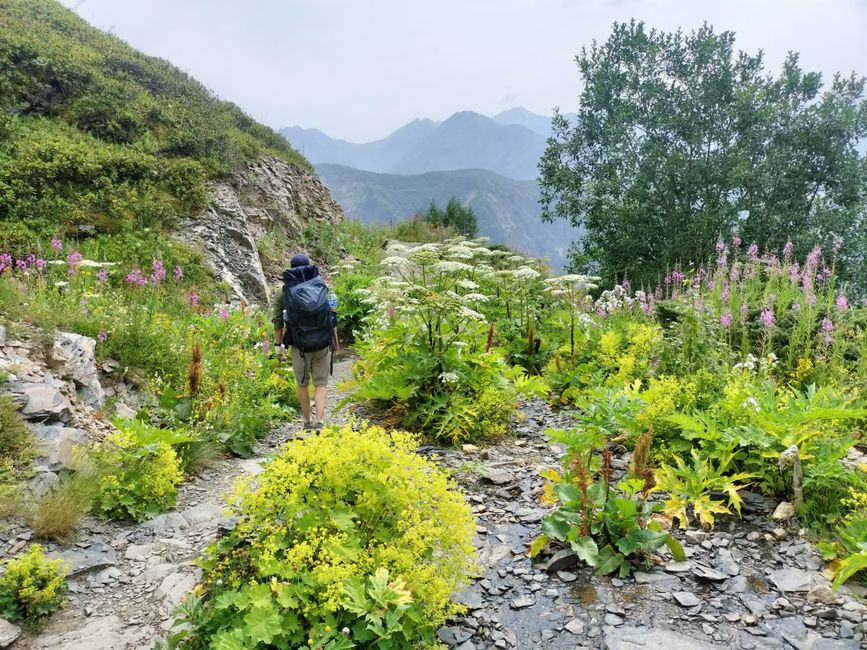Hiking through the Valley 