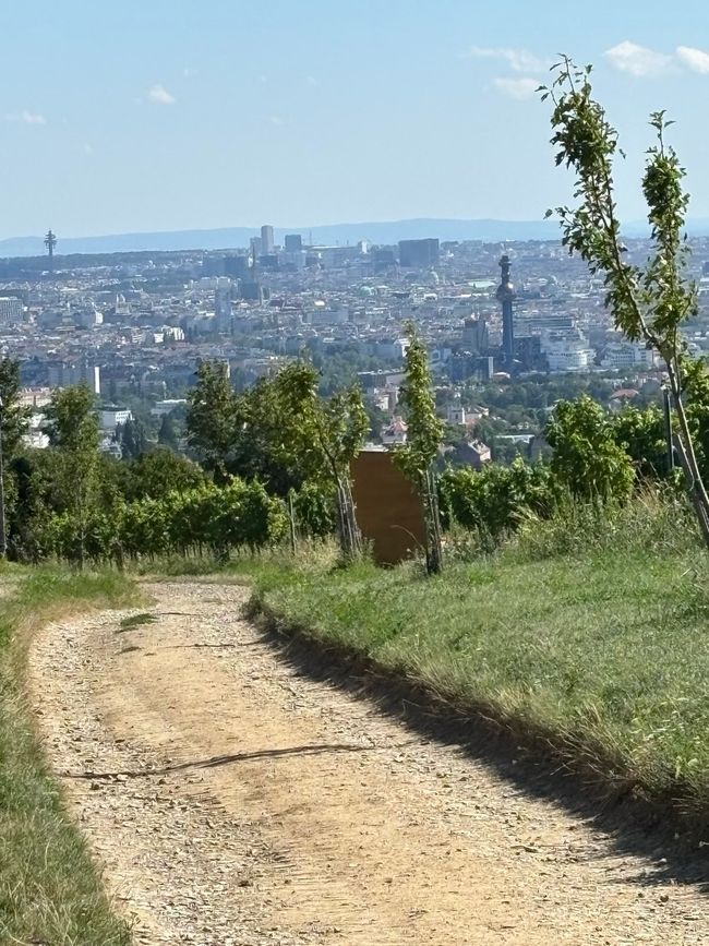 Viena