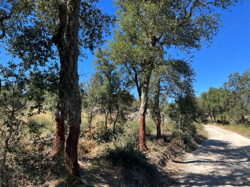 03 to Anglès sur Mer