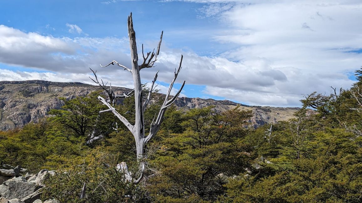 Von Ushuaia via El Calafate nach El Chalten