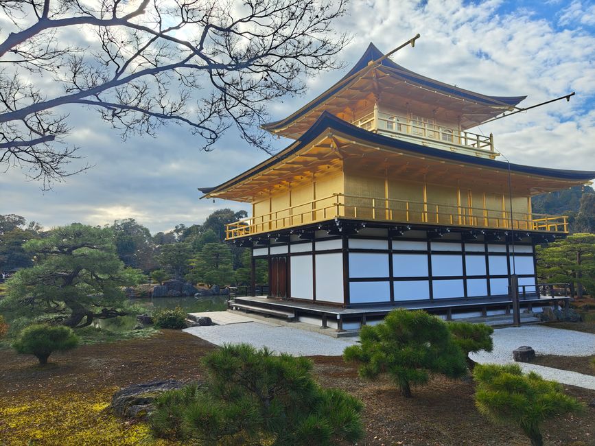Visite des temples à Kyoto